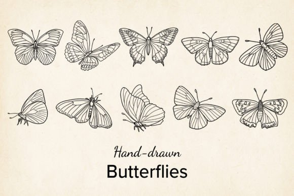 Download Vector Butterfly, Hand Drawn, SVG, PNG - Premium Resources